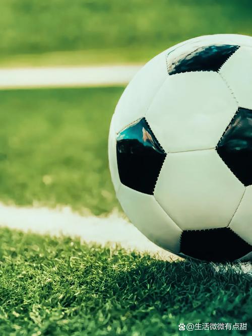 开始使用7m体育即时比分