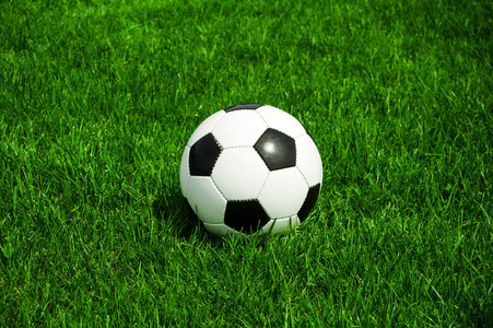 下载7m体育即时比分应用