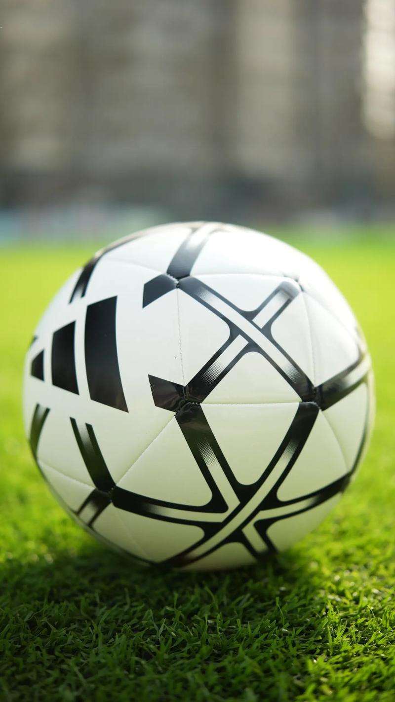 7m体育即时比分多平台支持